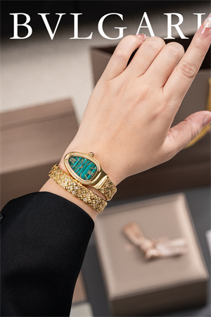 Bvlgari Spiga Lady Watch 38917 Color options