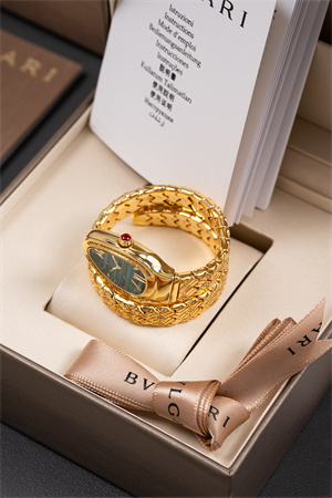 Bvlgari Spiga Lady Watch 38917 Color options