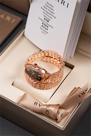 Bvlgari Spiga Lady Watch 38918 Color options