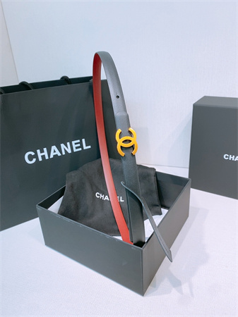 Chanel Belts In Calfskin 15MM Gold/Silver Hardware 12 Color Options