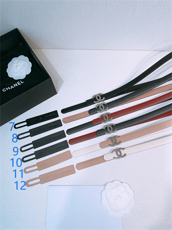 Chanel Belts In Calfskin 15MM Gold/Silver Hardware 12 Color Options