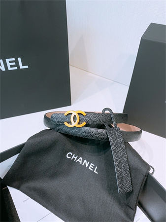 Chanel Belts In Calfskin 15MM Gold/Silver Hardware 12 Color Options