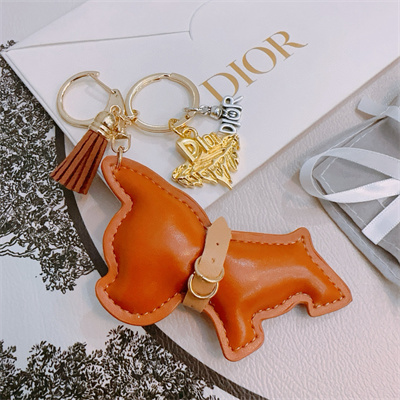 Bags Charm Dior 39085