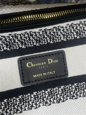 CD Medium Lady D-Lite Bag  Embroidery White Multicolors