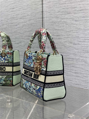 CD Medium Lady D-Lite Bag  Embroidery Lt Green Multicolors