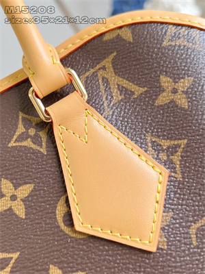 L.V EVer More PM Bag Monogram Canvas M15208