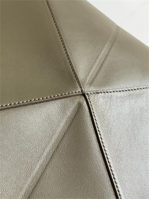 Loewe Medium Puzzle Fold Tote In Shinny Calfskin