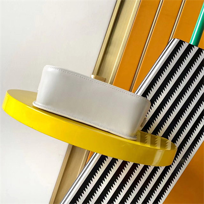 Y.S.L SOLFERINO Mini IN BOX SAINT LAURENT White Color